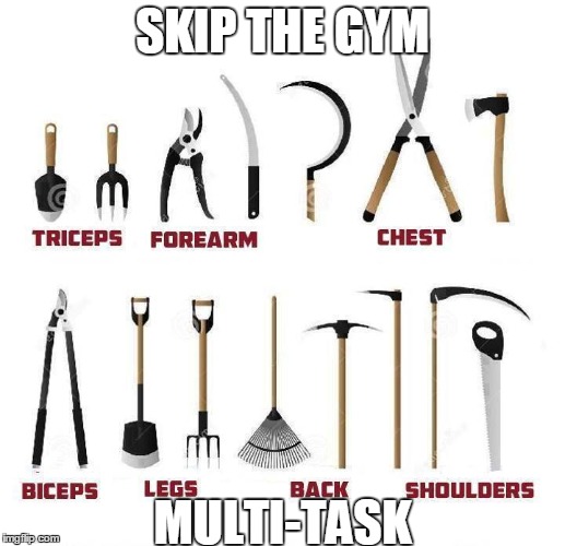 Get some! | SKIP THE GYM; MULTI-TASK | image tagged in workout,chores,meme | made w/ Imgflip meme maker