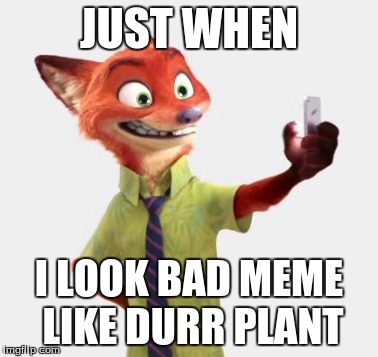 JUST WHEN; I LOOK BAD MEME LIKE DURR PLANT | image tagged in zootopia,funny | made w/ Imgflip meme maker