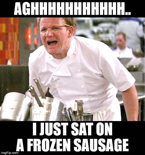 Chef Gordon Ramsay Meme | AGHHHHHHHHHHH.. I JUST SAT ON A FROZEN SAUSAGE | image tagged in memes,chef gordon ramsay | made w/ Imgflip meme maker