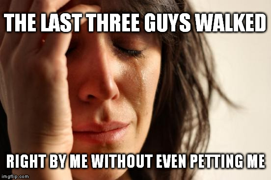 First World Problems Meme | THE LAST THREE GUYS WALKED RIGHT BY ME WITHOUT EVEN PETTING ME | image tagged in memes,first world problems | made w/ Imgflip meme maker