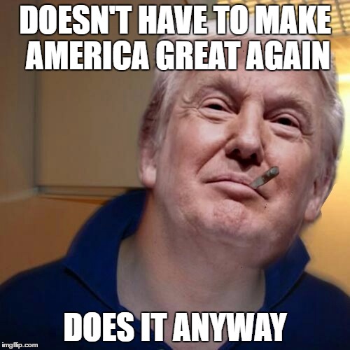 DOESN'T HAVE TO MAKE AMERICA GREAT AGAIN; DOES IT ANYWAY | image tagged in The_Donald | made w/ Imgflip meme maker