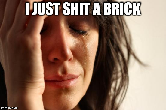 First World Problems Meme | I JUST SHIT A BRICK | image tagged in memes,first world problems | made w/ Imgflip meme maker