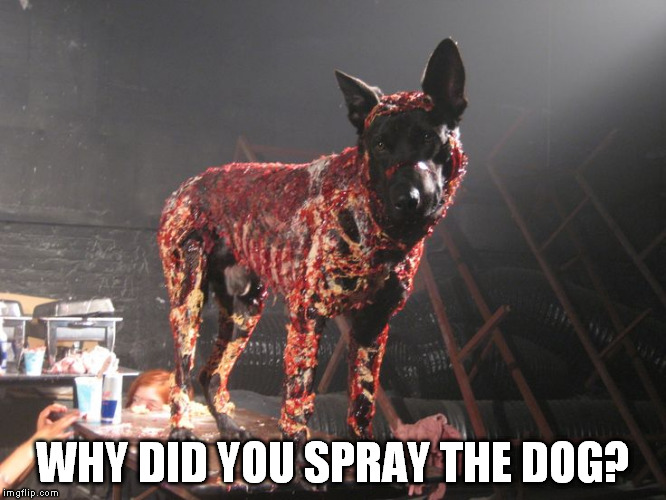 WHY DID YOU SPRAY THE DOG? | made w/ Imgflip meme maker