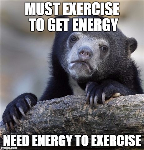 Confession Bear Meme | MUST EXERCISE TO GET ENERGY; NEED ENERGY TO EXERCISE | image tagged in memes,confession bear | made w/ Imgflip meme maker