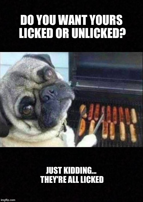 How do you like yours? |  DO YOU WANT YOURS LICKED OR UNLICKED? JUST KIDDING... THEY'RE ALL LICKED | image tagged in blank,pugs,memes,funny | made w/ Imgflip meme maker