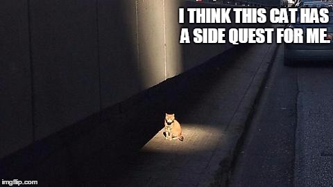 Side Quest Cat | I THINK THIS CAT HAS A SIDE QUEST FOR ME. | image tagged in side quest cat | made w/ Imgflip meme maker