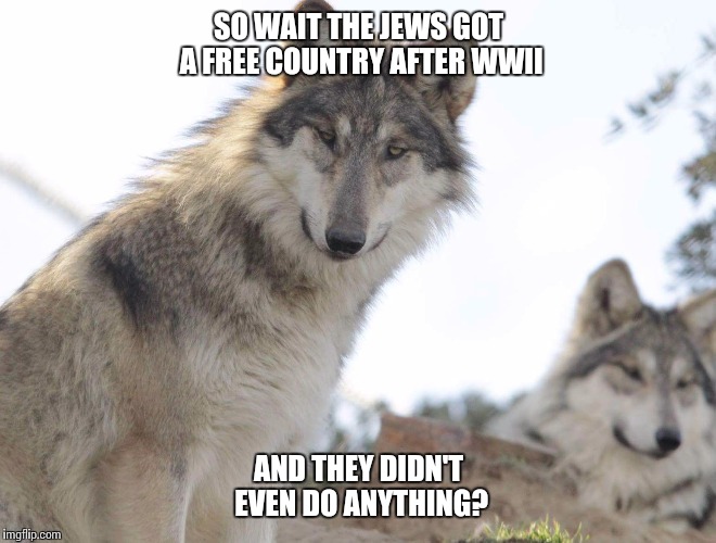 Wolf and Jews | SO WAIT THE JEWS GOT A FREE COUNTRY AFTER WWII; AND THEY DIDN'T EVEN DO ANYTHING? | image tagged in baffler wolf,jews,wolf,confused dog,ww2,lies | made w/ Imgflip meme maker
