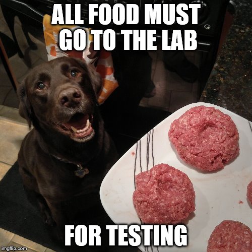 To the lab | ALL FOOD MUST GO TO THE LAB; FOR TESTING | image tagged in chuckie the chocolate lab,beef,lab | made w/ Imgflip meme maker