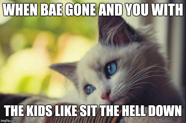 Sad cat | WHEN BAE GONE AND YOU WITH; THE KIDS LIKE SIT THE HELL DOWN | image tagged in sad cat | made w/ Imgflip meme maker
