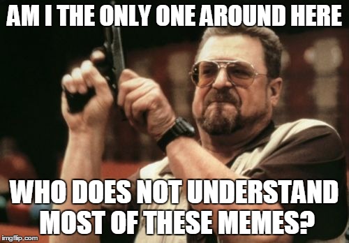 Am I The Only One Around Here | AM I THE ONLY ONE AROUND HERE; WHO DOES NOT UNDERSTAND MOST OF THESE MEMES? | image tagged in memes,am i the only one around here | made w/ Imgflip meme maker