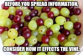 Grapes... | BEFORE YOU SPREAD INFORMATION, CONSIDER HOW IT EFFECTS THE VINE. | image tagged in grapes | made w/ Imgflip meme maker