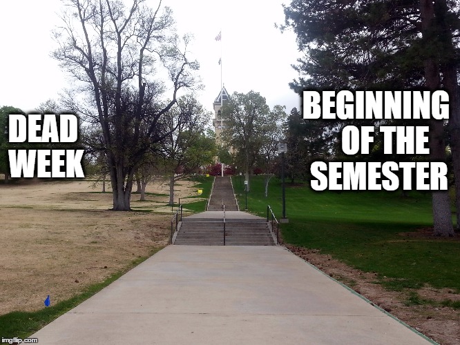 Semester Lawn | BEGINNING  
OF THE SEMESTER; DEAD WEEK | image tagged in college | made w/ Imgflip meme maker