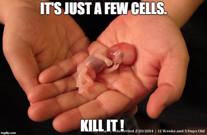 IT'S JUST A FEW CELLS. KILL IT ! | made w/ Imgflip meme maker