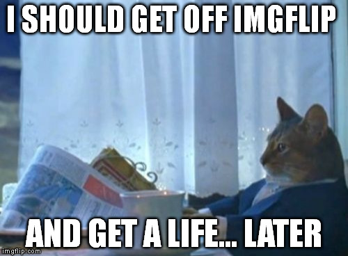 I Should Buy A Boat Cat Meme | I SHOULD GET OFF IMGFLIP; AND GET A LIFE... LATER | image tagged in memes,i should buy a boat cat | made w/ Imgflip meme maker