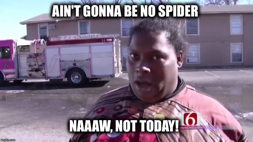 AIN'T GONNA BE NO SPIDER; NAAAW, NOT TODAY! | image tagged in no spider not today | made w/ Imgflip meme maker