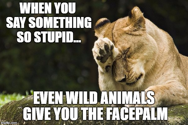 WHEN YOU SAY SOMETHING SO STUPID... EVEN WILD ANIMALS GIVE YOU THE FACEPALM | image tagged in facepaw | made w/ Imgflip meme maker