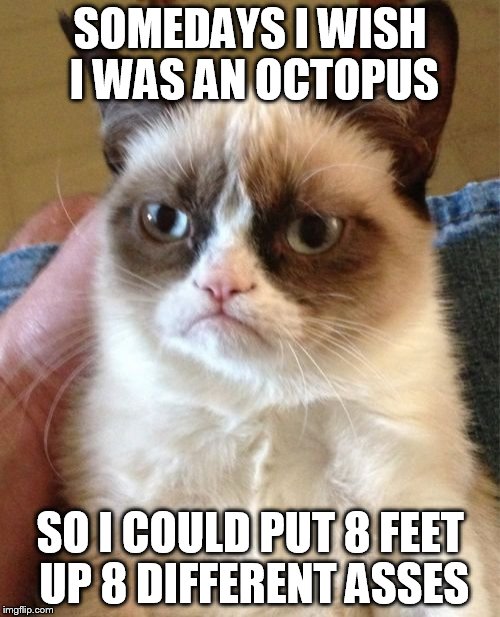 Grumpy Cat |  SOMEDAYS I WISH I WAS AN OCTOPUS; SO I COULD PUT 8 FEET UP 8 DIFFERENT ASSES | image tagged in memes,grumpy cat | made w/ Imgflip meme maker
