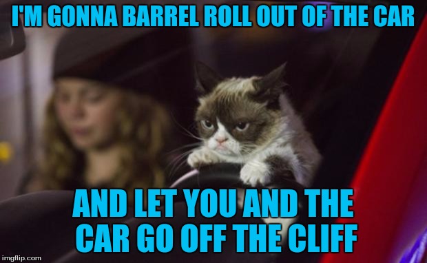 Grumpy Cat Driving | I'M GONNA BARREL ROLL OUT OF THE CAR; AND LET YOU AND THE CAR GO OFF THE CLIFF | image tagged in grumpy cat driving,memes | made w/ Imgflip meme maker