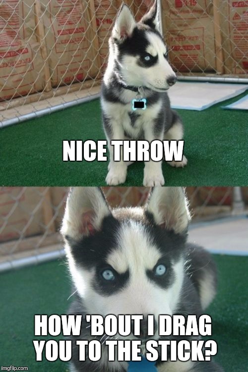 Insanity Puppy | NICE THROW; HOW 'BOUT I DRAG YOU TO THE STICK? | image tagged in memes,insanity puppy | made w/ Imgflip meme maker