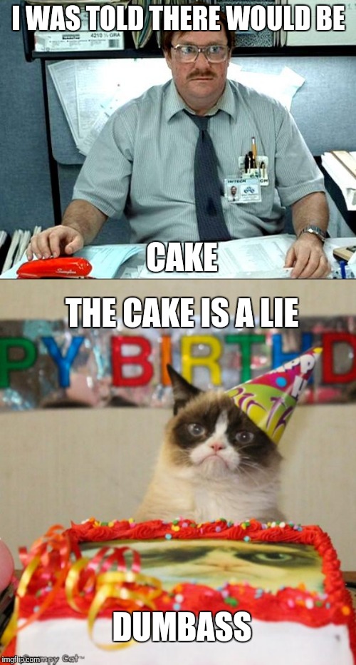 The cake is a lie | I WAS TOLD THERE WOULD BE; CAKE; THE CAKE IS A LIE; DUMBASS | image tagged in grumpy cat | made w/ Imgflip meme maker