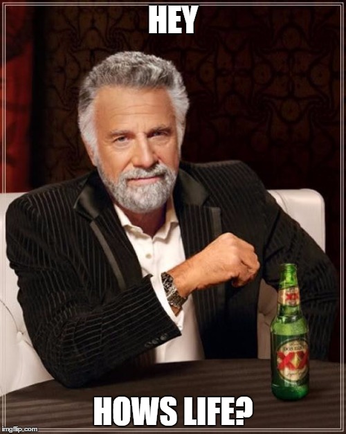 The Most Interesting Man In The World | HEY; HOWS LIFE? | image tagged in memes,the most interesting man in the world | made w/ Imgflip meme maker