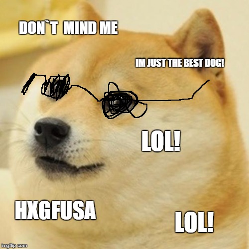 Doge | DON`T  MIND ME; IM JUST THE BEST DOG! LOL! HXGFUSA; LOL! | image tagged in memes,doge | made w/ Imgflip meme maker