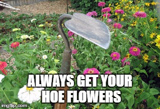 Hoe's | ALWAYS GET YOUR HOE FLOWERS | image tagged in funny,meme | made w/ Imgflip meme maker
