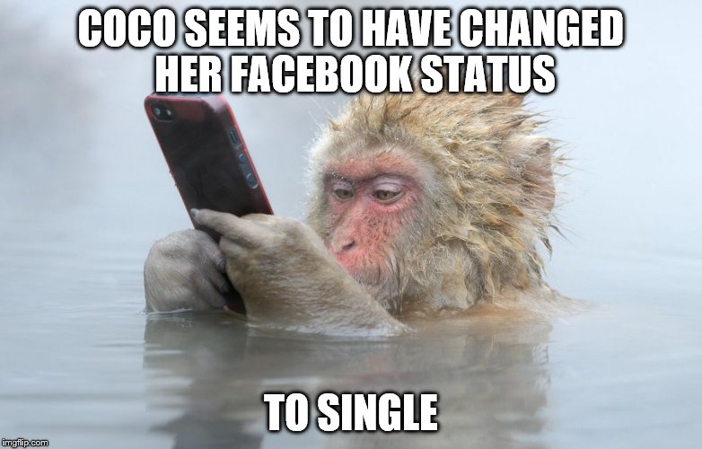 monkey in a hot tub with iphone | COCO SEEMS TO HAVE CHANGED HER FACEBOOK STATUS; TO SINGLE | image tagged in monkey in a hot tub with iphone | made w/ Imgflip meme maker