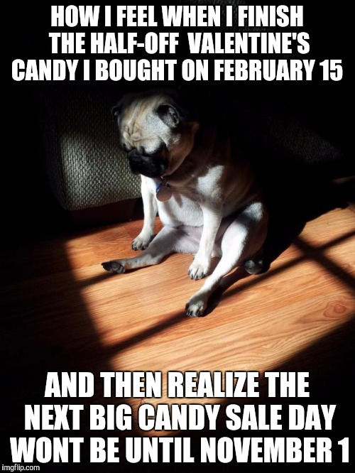 This happened today.  | HOW I FEEL WHEN I FINISH THE HALF-OFF  VALENTINE'S CANDY I BOUGHT ON FEBRUARY 15; AND THEN REALIZE THE NEXT BIG CANDY SALE DAY WONT BE UNTIL NOVEMBER 1 | image tagged in depressed pug,candy,diabeetus | made w/ Imgflip meme maker