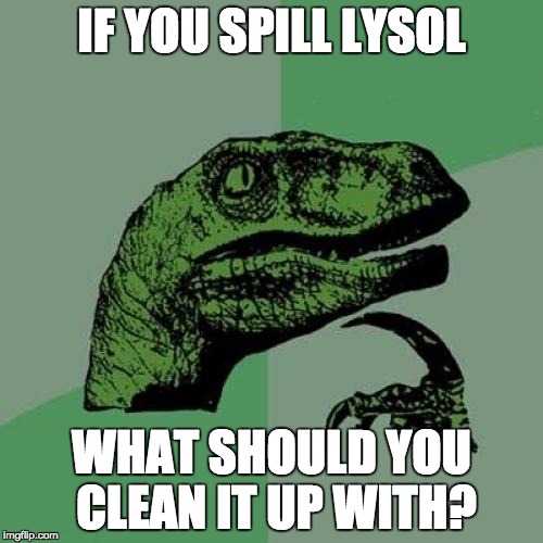 Philosoraptor | IF YOU SPILL LYSOL; WHAT SHOULD YOU CLEAN IT UP WITH? | image tagged in memes,philosoraptor | made w/ Imgflip meme maker
