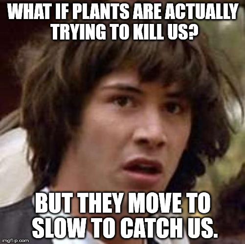 Conspiracy Keanu | WHAT IF PLANTS ARE ACTUALLY TRYING TO KILL US? BUT THEY MOVE TO SLOW TO CATCH US. | image tagged in memes,conspiracy keanu | made w/ Imgflip meme maker