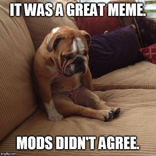 sad dog | IT WAS A GREAT MEME. MODS DIDN'T AGREE. | image tagged in sad dog | made w/ Imgflip meme maker
