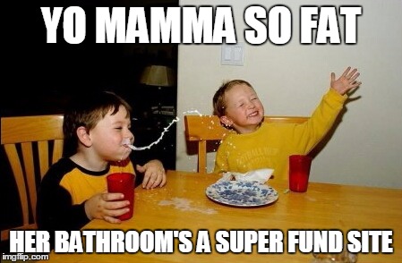 Yo Mamas So Fat | YO MAMMA SO FAT; HER BATHROOM'S A SUPER FUND SITE | image tagged in memes,yo mamas so fat | made w/ Imgflip meme maker