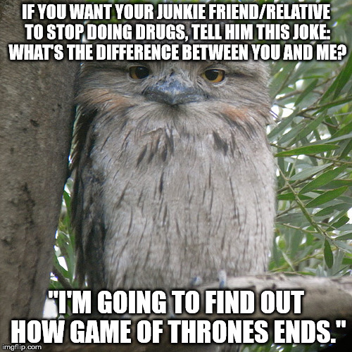 Wise Advice Potoo | IF YOU WANT YOUR JUNKIE FRIEND/RELATIVE TO STOP DOING DRUGS, TELL HIM THIS JOKE: WHAT'S THE DIFFERENCE BETWEEN YOU AND ME? "I'M GOING TO FIND OUT HOW GAME OF THRONES ENDS." | image tagged in wise advice potoo | made w/ Imgflip meme maker
