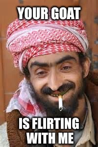 Casanova of the casbah | YOUR GOAT; IS FLIRTING WITH ME | image tagged in casanova of the casbah,sexy,flirting,flirt,successful arab guy | made w/ Imgflip meme maker