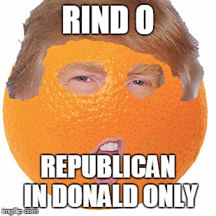 RIND O; REPUBLICAN IN DONALD ONLY | image tagged in rindo | made w/ Imgflip meme maker