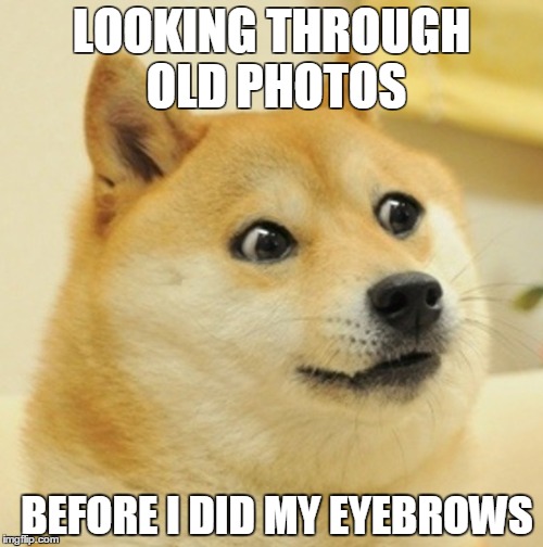 LOOKING THROUGH OLD PHOTOS; BEFORE I DID MY EYEBROWS | image tagged in funny dogs,eyebrows,shocked face | made w/ Imgflip meme maker