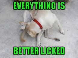 EVERYTHING IS BETTER LICKED | made w/ Imgflip meme maker