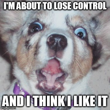 I'M ABOUT TO LOSE CONTROL AND I THINK I LIKE IT | made w/ Imgflip meme maker