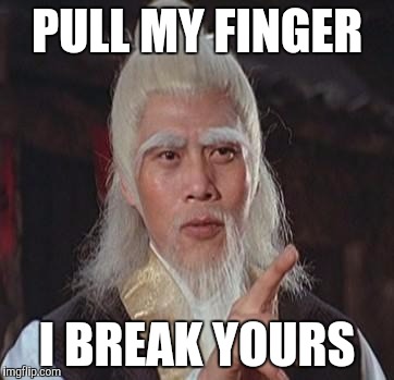 Wise Kung Fu Master | PULL MY FINGER; I BREAK YOURS | image tagged in wise kung fu master | made w/ Imgflip meme maker