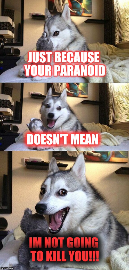 Bad Pun Dog Meme | JUST BECAUSE YOUR PARANOID; DOESN'T MEAN; IM NOT GOING TO KILL YOU!!! | image tagged in memes,bad pun dog | made w/ Imgflip meme maker