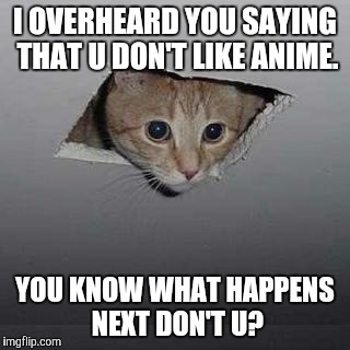 YOU SAID WHAT! | I OVERHEARD YOU SAYING THAT U DON'T LIKE ANIME. YOU KNOW WHAT HAPPENS NEXT DON'T U? | image tagged in memes,ceiling cat | made w/ Imgflip meme maker