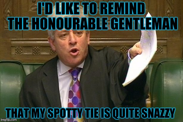 Misguided self importantance  | I'D LIKE TO REMIND THE HONOURABLE GENTLEMAN; THAT MY SPOTTY TIE IS QUITE SNAZZY | image tagged in political meme | made w/ Imgflip meme maker