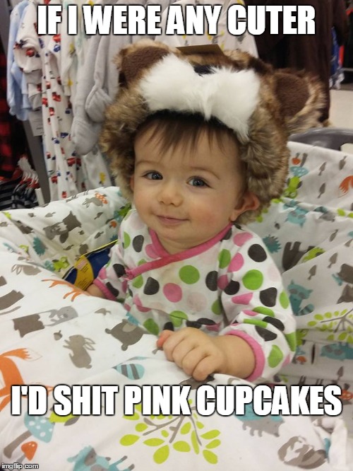 IF I WERE ANY CUTER; I'D SHIT PINK CUPCAKES | made w/ Imgflip meme maker