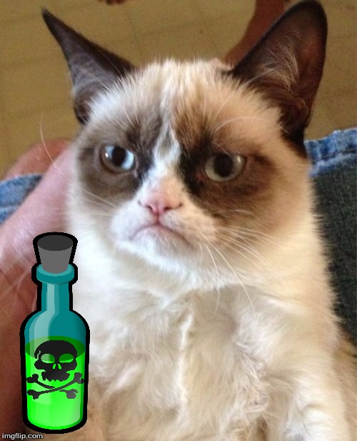 Grumpy Cat Meme | image tagged in memes,grumpy cat | made w/ Imgflip meme maker