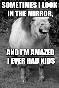 Sometimes I look in the mirror... | SOMETIMES I LOOK IN THE MIRROR, AND I'M AMAZED I EVER HAD KIDS | image tagged in ugly horse,funny memes,ugly | made w/ Imgflip meme maker