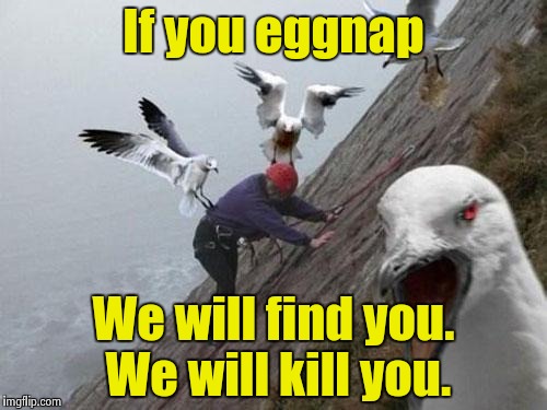 From the movie Taken (For Breakfast) | If you eggnap; We will find you. We will kill you. | image tagged in angry birds,taken | made w/ Imgflip meme maker