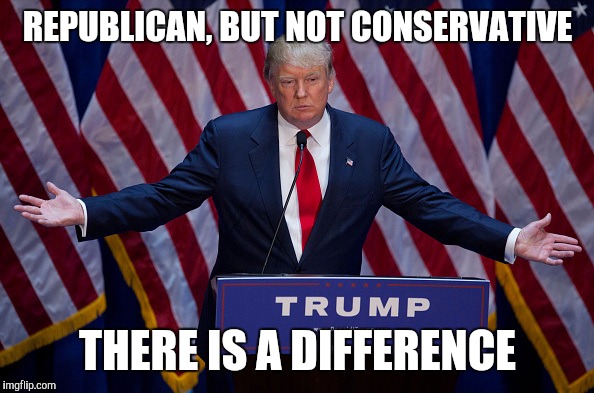 Donald Trump | REPUBLICAN, BUT NOT CONSERVATIVE; THERE IS A DIFFERENCE | image tagged in donald trump | made w/ Imgflip meme maker