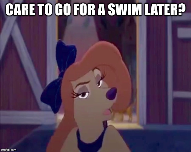 Care To Go For A Swim Later? | CARE TO GO FOR A SWIM LATER? | image tagged in dixie,memes,disney,the fox and the hound 2,reba mcentire,dog | made w/ Imgflip meme maker