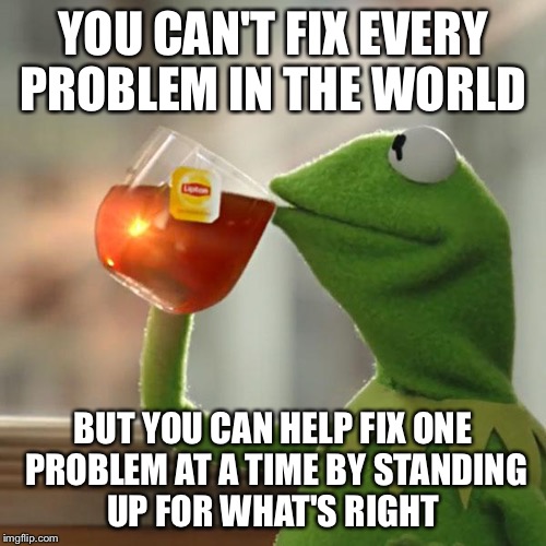 But That's None Of My Business Meme | YOU CAN'T FIX EVERY PROBLEM IN THE WORLD; BUT YOU CAN HELP FIX ONE PROBLEM AT A TIME BY STANDING UP FOR WHAT'S RIGHT | image tagged in memes,but thats none of my business,kermit the frog | made w/ Imgflip meme maker